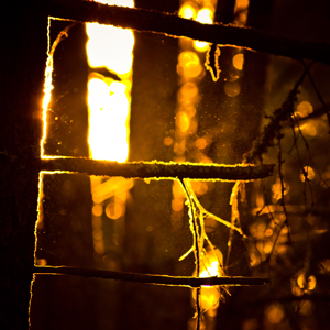 Thumbnail for Pogonip hike photos